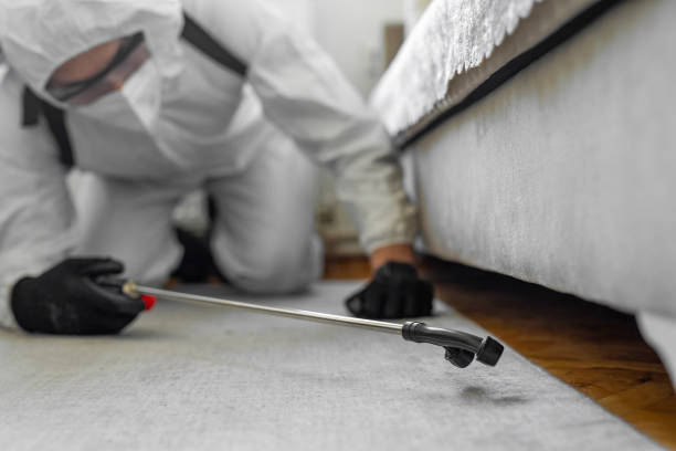 Professional Termite Control technician working in Noel, MO