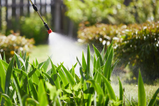 24/7 Emergency Termite Control experts in Noel, MO